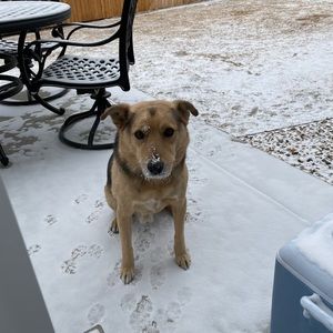 Meet your Posher, Jenny